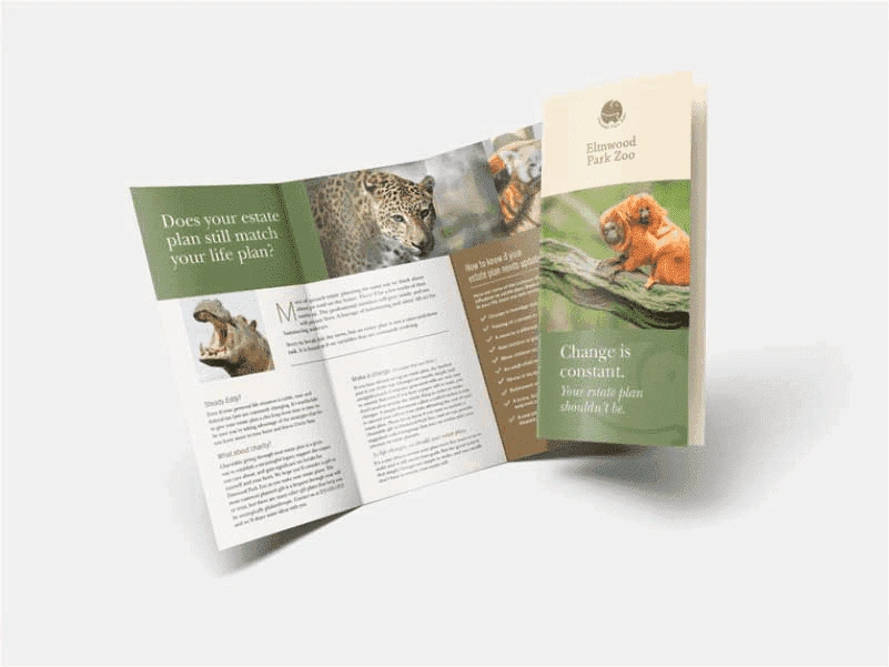 Brochure image 1