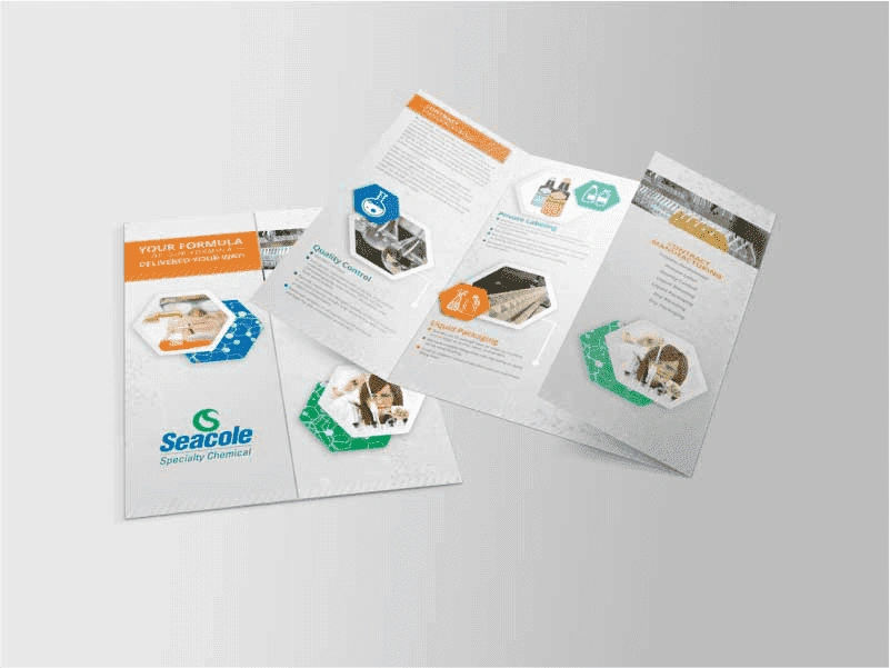 Brochure image 4